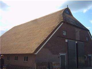 rietdekker rietdekkersbedrijf rene beilen